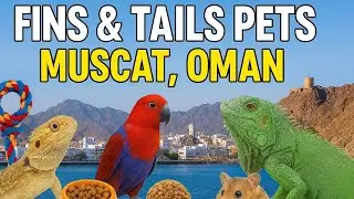 &ldquo;Fins & Tails Pets 🐠 | Best Pet Store in Muscat, Oman | Aquariums, Birds & More!&rdquo;