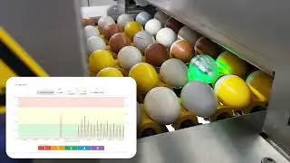 Br&ouml;ring Electronic Egg - Picture in Picture Durchlauf MOBA Forta GT100