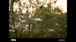 Drone mini 2 photography among the trees flying