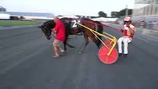 More DE Fair Day Action (#1391 Aug 17, 2025)