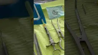Preparing Root Canal Treatment #dentistry #endodontics