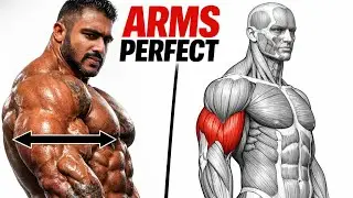 Biceps Workout for CRAZY Pump & BULK 💪🔥