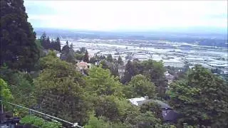 Mark's Flight in Kings Heights over his house area.