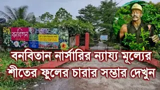 বনবিতান নার্সারির ন্যায্য মূল্যের শীতের ফুলের চারার সম্ভার দেখুন|Banabitan Nursery Visit at Sodepur|