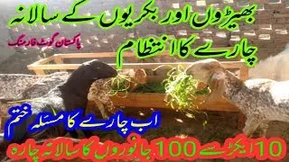 Goat Feeding | Sabaz chara ka schedule by Pakistan Goat Farming سبز چارے کا سالانہ چارٹ