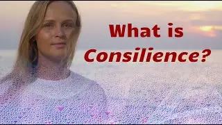 What is Consilience?