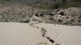 Viking Ribstones, Bull&rsquo;s Forehead and Great Sandhills