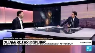 'A Tale of Two Infinities': The potential of multimessenger astronomy &bull; FRANCE 24 English