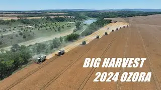 Big Barley Harvest-&Aacute;rpa arat&aacute;s 10 komb&aacute;jnnal/Ozora 2024!  5 X CLAAS Lexion, 2 X MEGA, 3 X JOHN DEERE