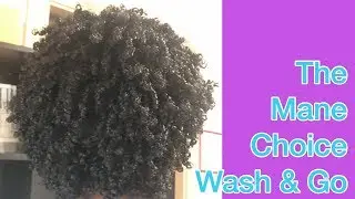 My FAVORITE Gel | The Mane Choice Biotin Infused Gel