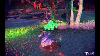 [Tera HD] Guide to Mystics