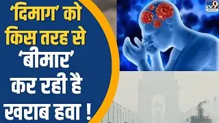Air Pollution Impact On Brain: &lsquo;दिमाग&rsquo; को इस तरह से रोगी बना रही है खराब हवा | Shocking Study | AQI