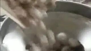 garlic clove separating machine，Garlic clove splitting machine