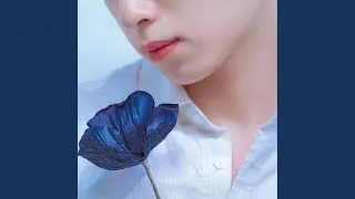 I'm Okay Don't Worry (SAVED) (2012) (Melody Version)