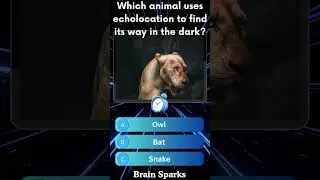 Part 306 Test your Brain knowledge #shorts #animals #quiztime #quiz #ytshorts