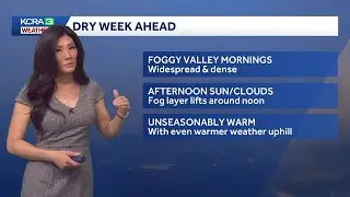 Northern California forecast: Dry days ahead with foggy mornings, sunny afternoons
