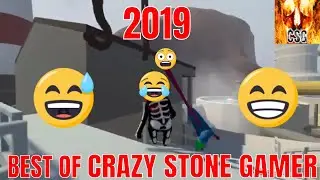 Best of Crazy Stone Gamer 2019