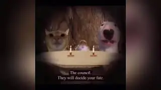 TikTok compilation