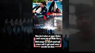 jessica radcliffe accident original video | jessica dolphin show incident #jessica