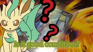 I BOUGHT A CARD ON EBAY!! was it good condition? *New series*