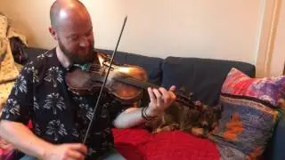 Fergal Scahill's fiddle tune a day 2017 - Day 207 - Harvest Home