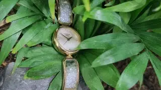 Titan raga cocktail collection #swarovskicrystals #mother of pearl dial