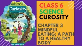 Class 6 Science Curiosity | Chapter 3 Mindful Eating | A Path to a Healthy BodyExplanation & Summary