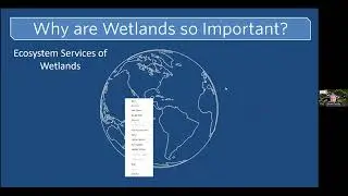 The Wonders of Wisconsin's Wetlands