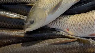Star_fishss в прямом эфире!world of star fishss goo 🇺🇿🤫😳
