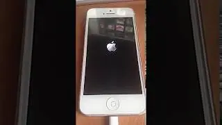 Apple Iphone 5 Прошивка