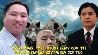 Ntaj muas & Mas xyooj lawv cov kwv tij hmoob nyab laj rov ua dev sib tog 27/01/2026