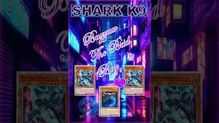 SHARK K9 / COMBO BUZZAW #shark  #squalo #tubar&atilde;o #サメ #haai #hai #yugioh #combos  #freebahamut #k9