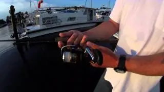 Captain Roger Bump 