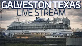 LIVE: Watching Three Cruise Ships Leave Galveston Texas LIVE! (Jan. 24, 2026)