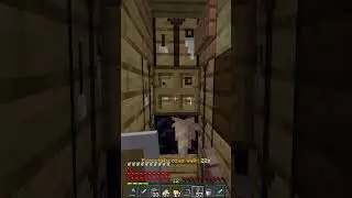 MAM NAJLEPSZY MIECZ NA LIFESTEALSMP (jjsmp.pl)