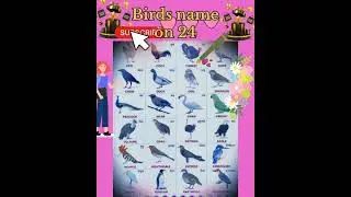 #Birds  name on 24 essay ll hindi and english ll this picture🖼️🖼️