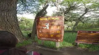 El Chalten   Laguna De Los Tres & Laguna Capri 4K