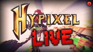 Hypixel after a long time w/Dimmz