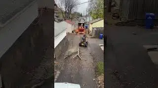 Huge tree, Tight spaces #treeremoval #treework #crane 