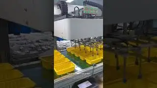 Advanced Food Packaging Production Line