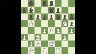 White Mamedov  RauEvent Czech Open A,Site Pardubice CZE,Date 2009.08.01,Round 9,White Mamedov, Rau,