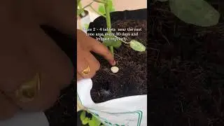 One tablet = stronger roots, greener leaves, happier plants!Try Mintab and watch your garden thrive!