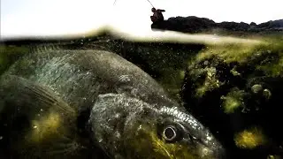 The Motivation You Need To Go Fishing