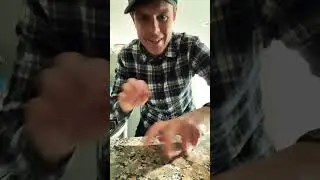 Table Tapping Tempo - Countertop Table Edition (Key of Awesome Music)