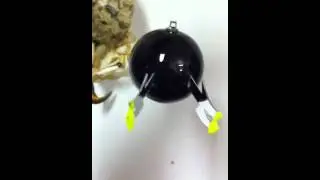 Phantasm sphere