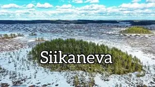 Siikaneva retkeilyalue 2021 | Dji Mavic 2 Pro