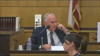 Hickman Schleimer Testimony AMFS