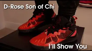 Adidas D Rose Son of Chi 