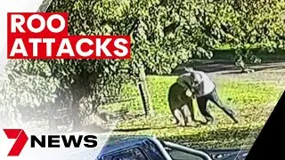 Victorian man injured after taking on a kangaroo to save his dogs | 7NEWS