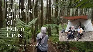 Camping Syahdu di Hutan Pinus